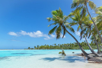 Atoll Beach Französisch Polynesien
