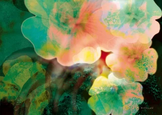 Ins Dunkel Gedachte Blütenhoffnung